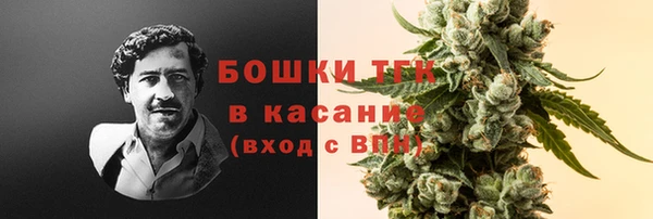 тгк Каменногорск