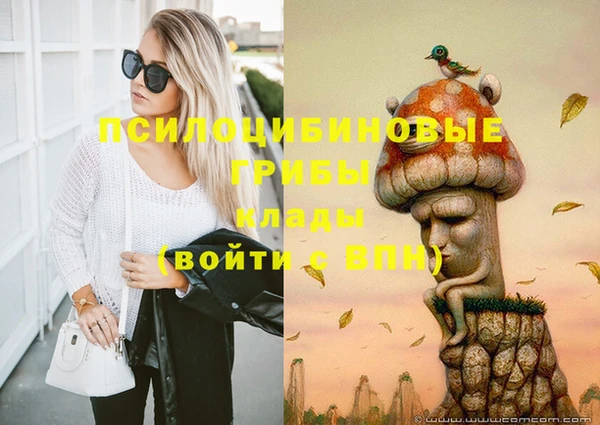 PSILOCYBIN Бородино