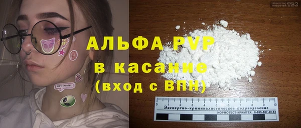 PSILOCYBIN Бородино