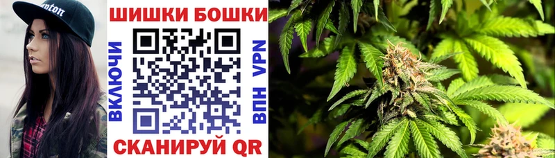 Шишки марихуана сатива  Гремячинск 